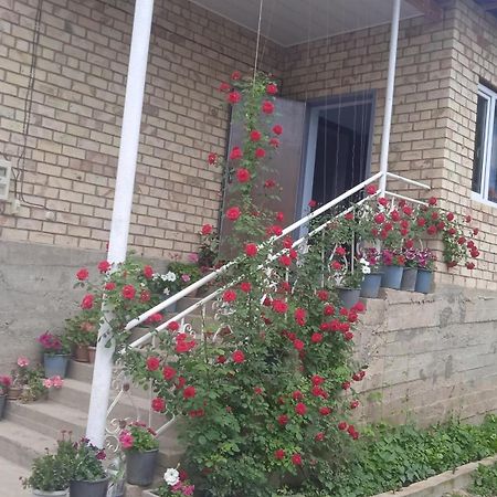 Guest House Kyzyl Alma Arkit Esterno foto