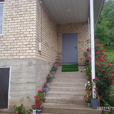 Guest House Kyzyl Alma Arkit Esterno foto